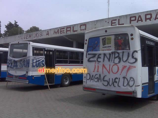 Asambleazenibus
