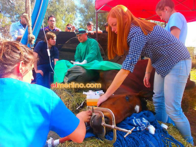 Operacioncaballo