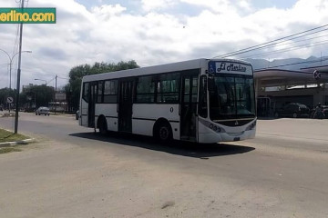 Transportemerlino