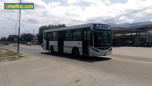 Transportemerlino